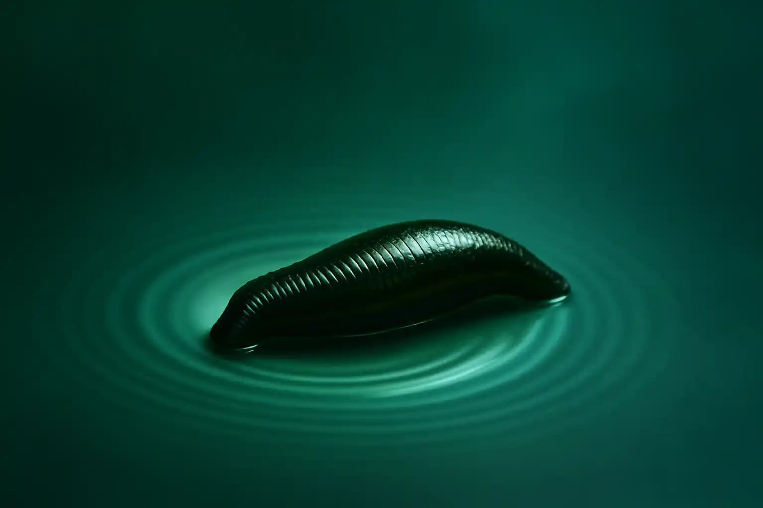 Гирудотерапия